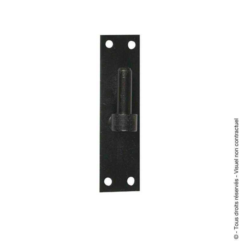 Gond sur platine bout droit