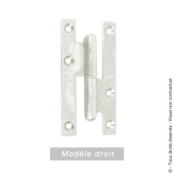 Paumelle de Paris bois