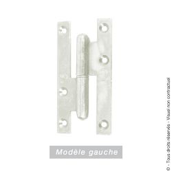 Paumelle de Paris bois