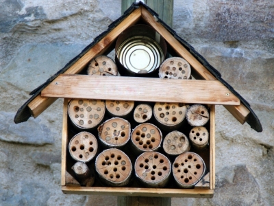 Construire un hôtel à insectes